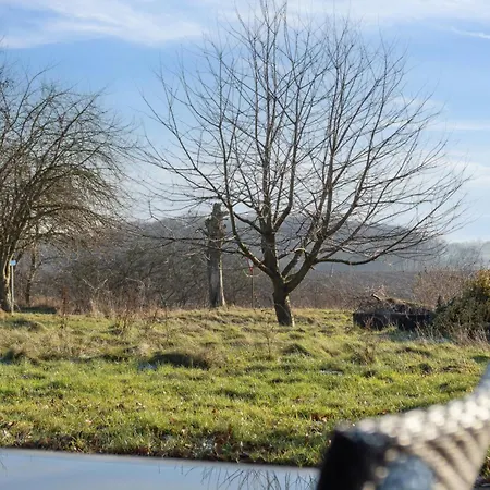 Dejligt Nær Skov Og